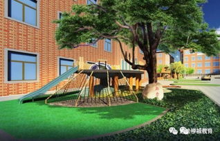 校園的香樟園作文三百字