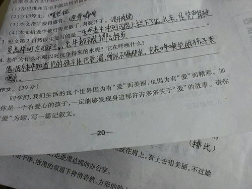 以我愛校園為話題的作文開頭結(jié)尾