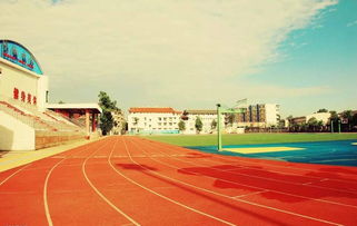 作文校園運動場