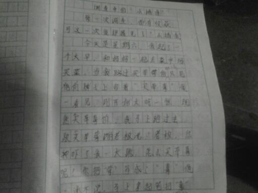 作文,調(diào)查報(bào)告,衛(wèi)生,校園