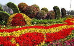 校園的花壇作文450字