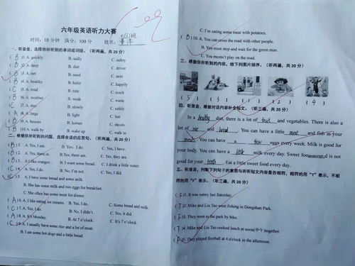 多元文化校園英語作文