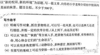 新的校園新的環(huán)境為話題寫(xiě)一篇作文