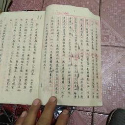 我的學(xué)校五中作文600字,五中校園的秋天作文600字,描寫五中校園作文