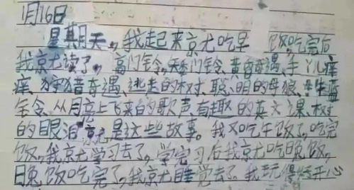 作文,真美,校園