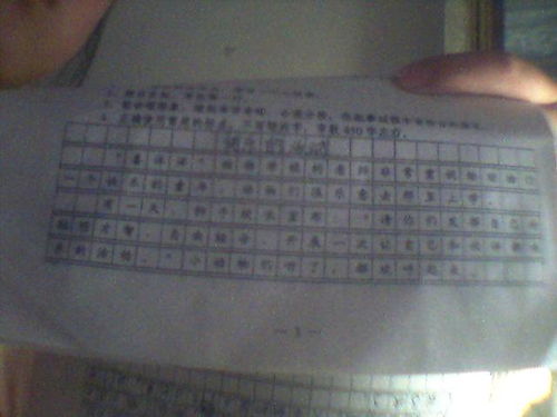 校園里的快樂(lè)活動(dòng)作文500