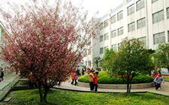 校園里春天的作文600字初中作文