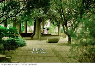 冬天的校園敘事作文