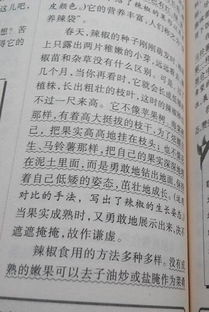 作文,植物,校園