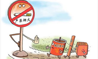 校園防火防震演練作文300字