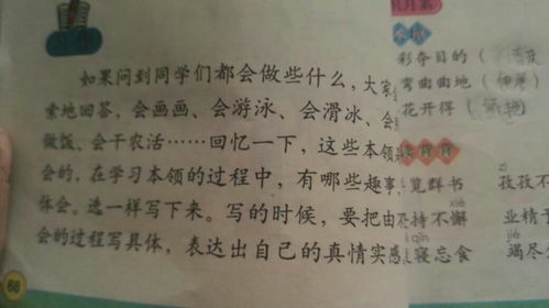 我愛校園的什么300字作文三級