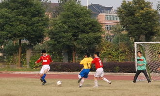 校園魅力足球作文