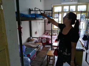 作文,安全防范,校園,大學