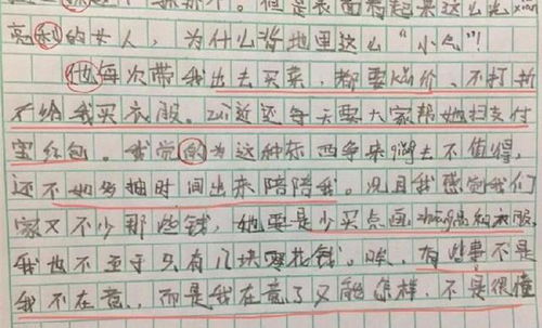 爸媽的校園生活作文600字