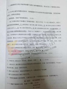 我的校園初2作文