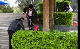 我愛,校園,大全,中學(xué)生作文