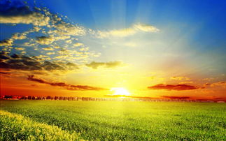 日照的日出美景作文,寫日出美景的作文,日出即景作文結(jié)尾