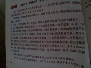 我們的校園真美作文300字三年級,我們的校園真美作文300字四年級,我們的校園真美作文300字三年級寫景