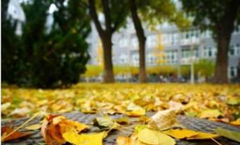 四級校園校園的作文400字作文