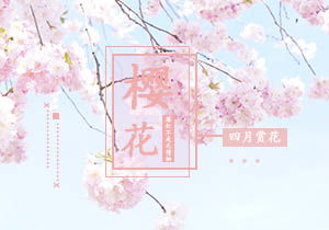 描寫校園櫻花樹作文700字