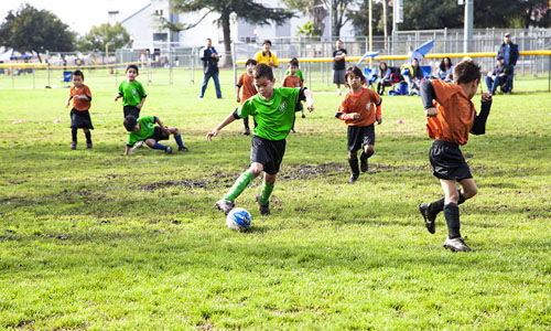 觀看校園足球比賽作文,觀看踢足球比賽作文,關(guān)于寫(xiě)校園踢足球的作文