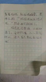 我周圍的校園環(huán)境作文小學(xué)