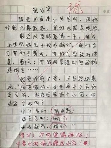 小學(xué)生描寫校園的作文,小學(xué)生校園安全作文,小學(xué)生校園種菜作文