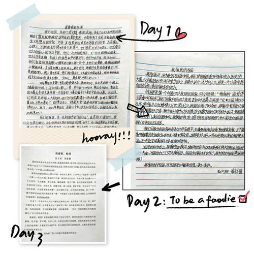 我愛,作文,祖國,校園