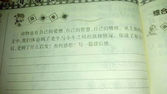 作文,校園里,秋天