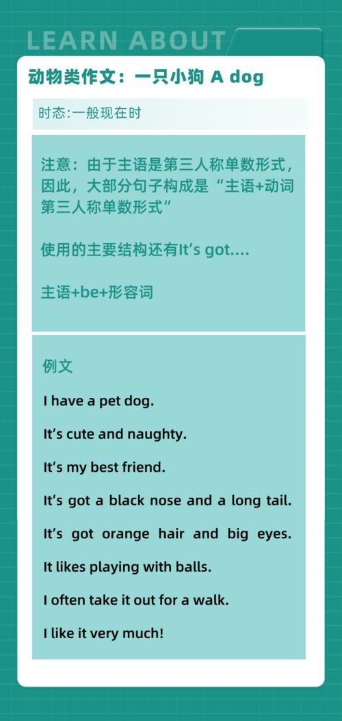 打造無紙屑校園作文