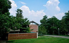 校園一角操場作文400字寫景,校園一角(操場)作文400字左右,推薦校園一角操場作文400字寫景