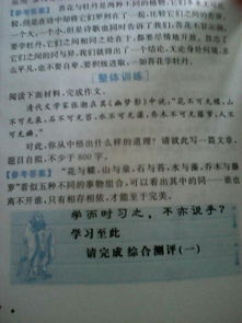 永遠(yuǎn)的校園800字作文