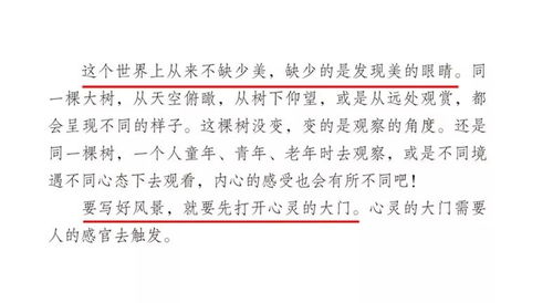 總會(huì)想起你的好作文友情校園生活