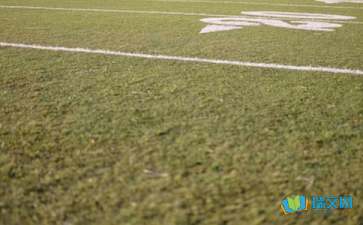 校園作文操場上