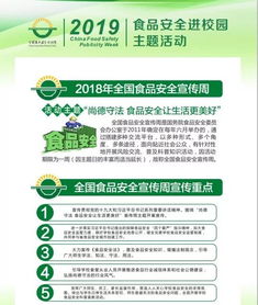 安全讓校園生活更美好作文600字