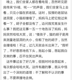 校園生活的一件事500字作文