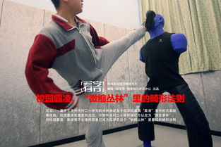 小學(xué)生校園霸凌作文