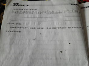 校園里忘不了作文600字