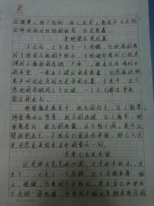 小標題式校園的一天作文600字作文