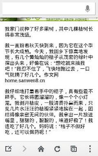 校園見(jiàn)聞作文200字,校園見(jiàn)聞作文600字,校園見(jiàn)聞作文500字