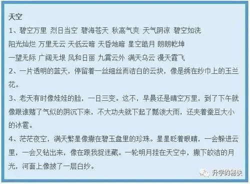 關(guān)于校園里的風(fēng)景作文素材