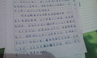 對學(xué)校的感受作文500字,新校園的感受七年級作文600字,進(jìn)入新校園的感受作文600字