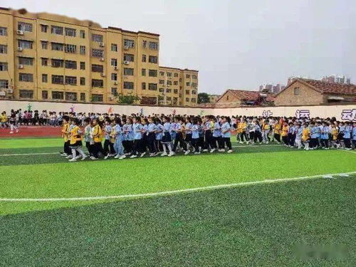 關(guān)于校園豐富多彩生活的作文