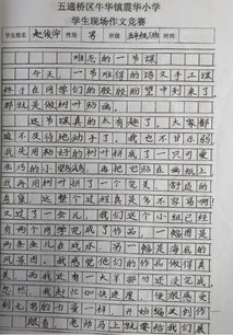 校園活動精彩作文