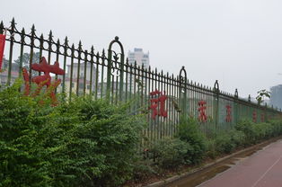 移步換景的校園寫景作文