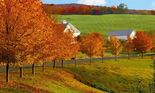 校園秋天的風(fēng)景作文600字