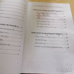 描寫西南民族大學校園的作文