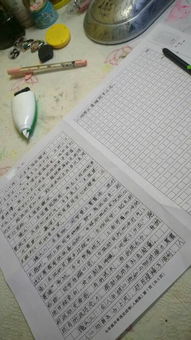 關(guān)于校園運動會的新聞作文