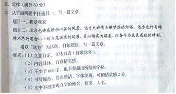 小標題,作文,校園