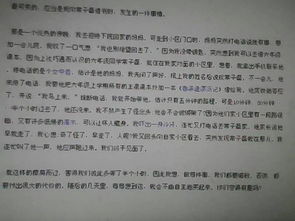 多彩校園的生活作文700字
